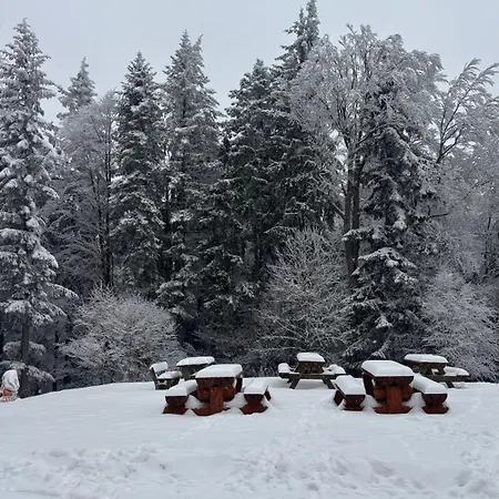 Lodge Horska Libin *